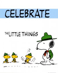 Celebrate-Small-Successes-Victories-Little-Things